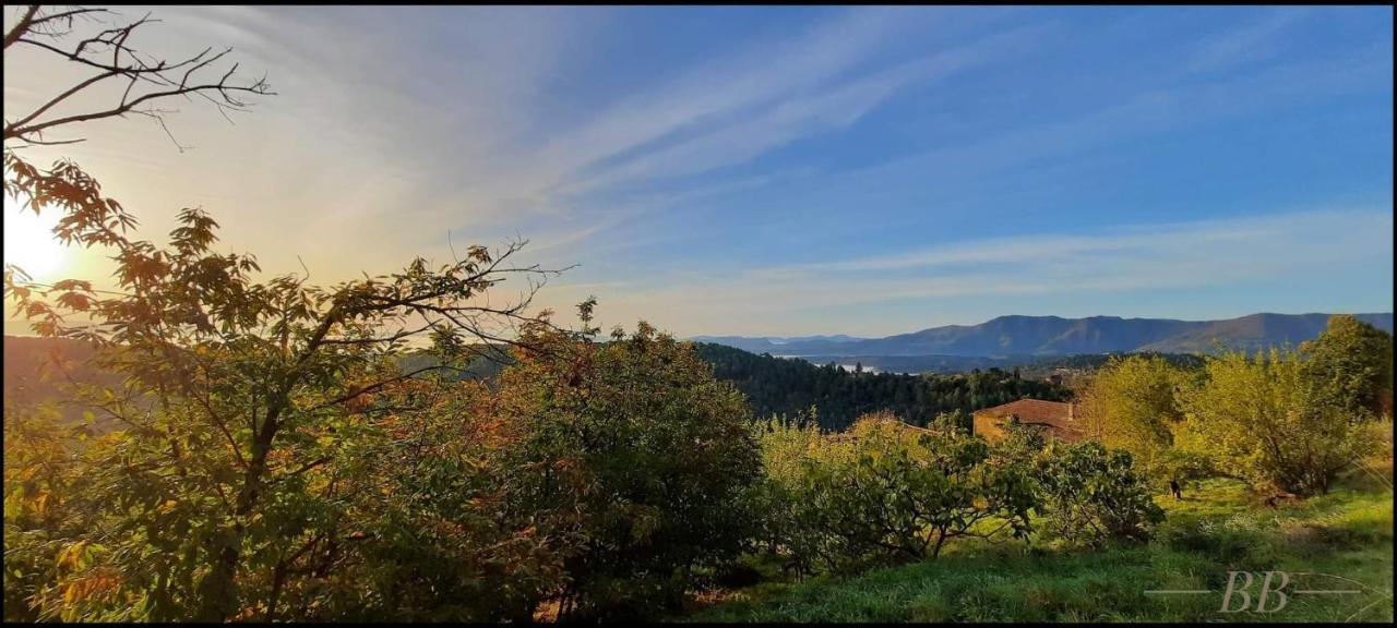 Gite Du Tilleul - 2 Etoiles - Domaine De L'Olivier Faugeres  Dış mekan fotoğraf