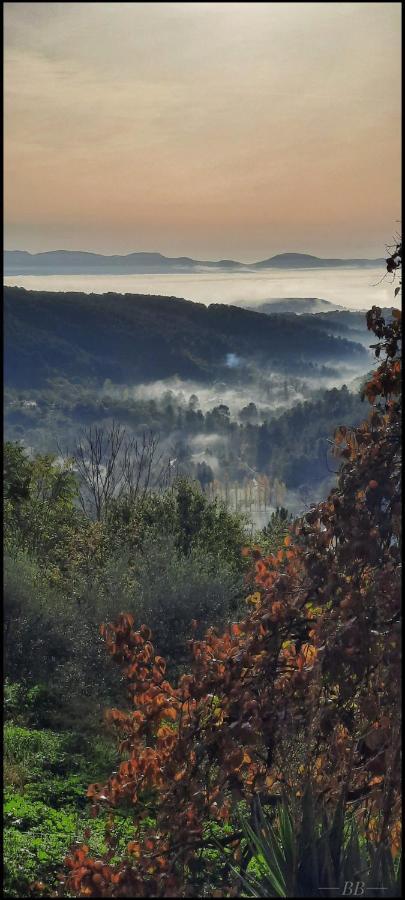 Gite Du Tilleul - 2 Etoiles - Domaine De L'Olivier Faugeres  Dış mekan fotoğraf