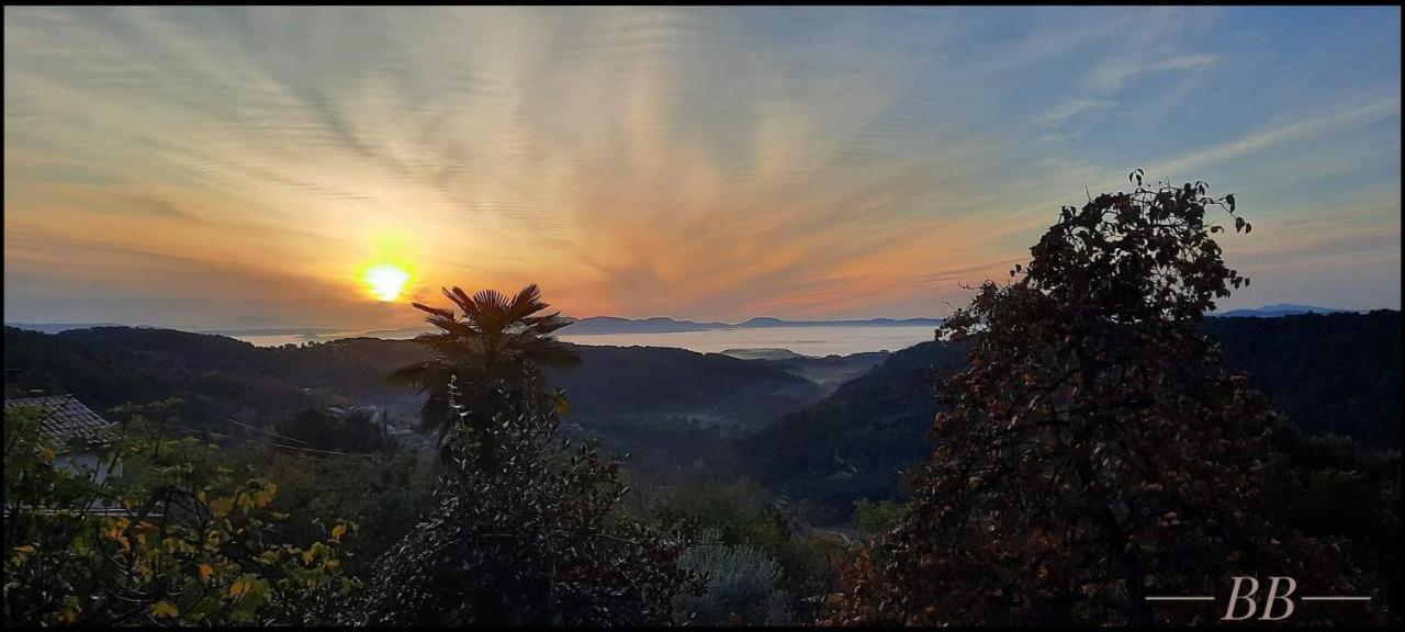 Gite Du Tilleul - 2 Etoiles - Domaine De L'Olivier Faugeres  Dış mekan fotoğraf