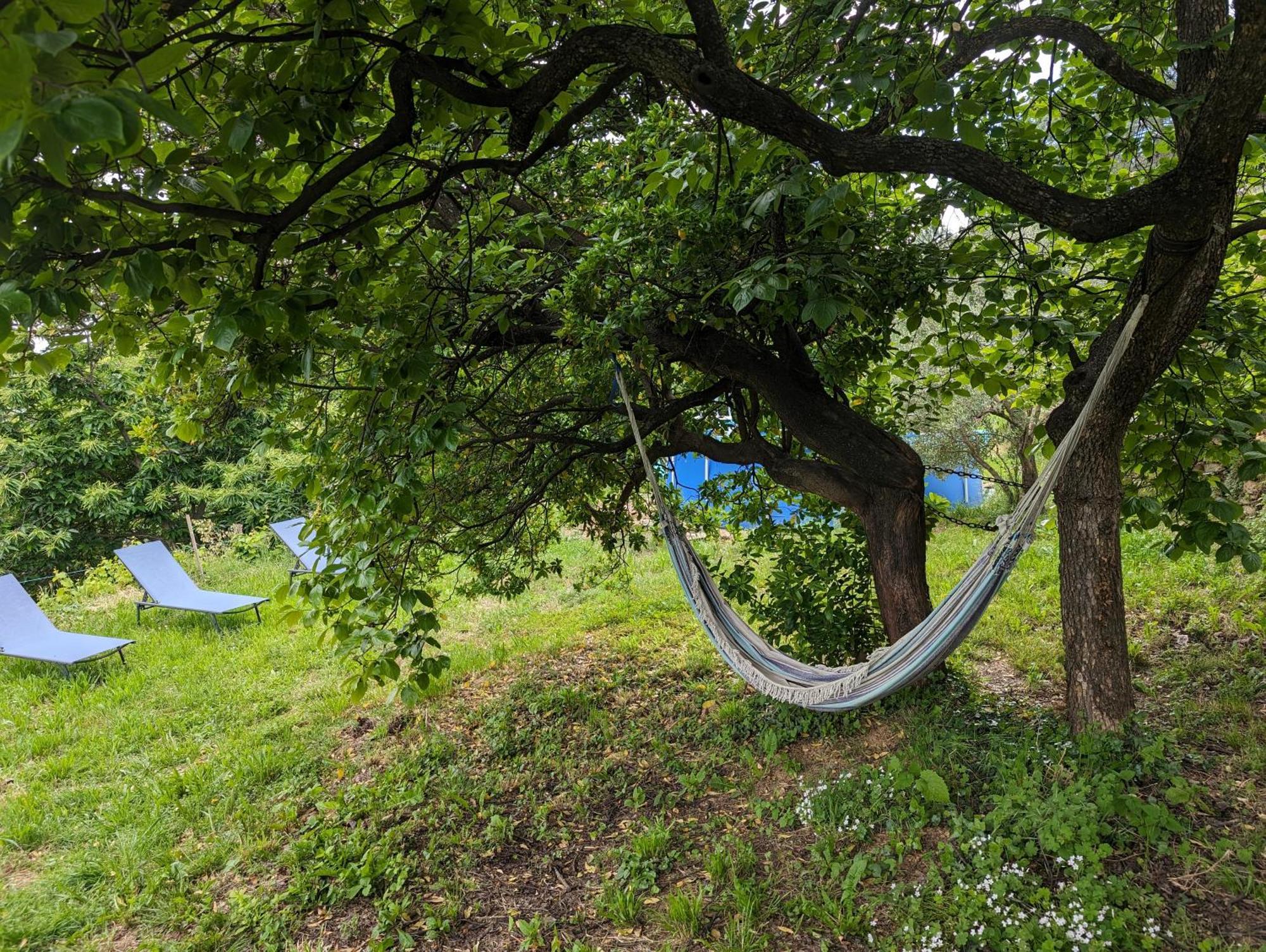 Gite Du Tilleul - 2 Etoiles - Domaine De L'Olivier Faugeres  Dış mekan fotoğraf