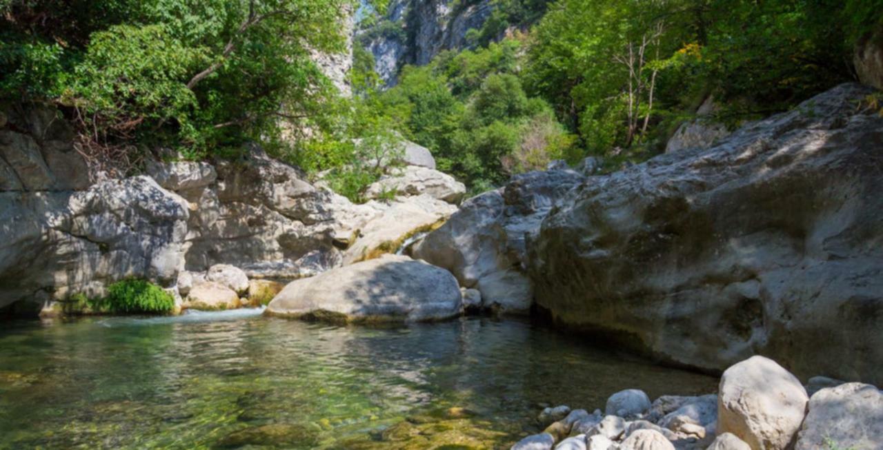 Gite Du Tilleul - 2 Etoiles - Domaine De L'Olivier Faugeres  Dış mekan fotoğraf